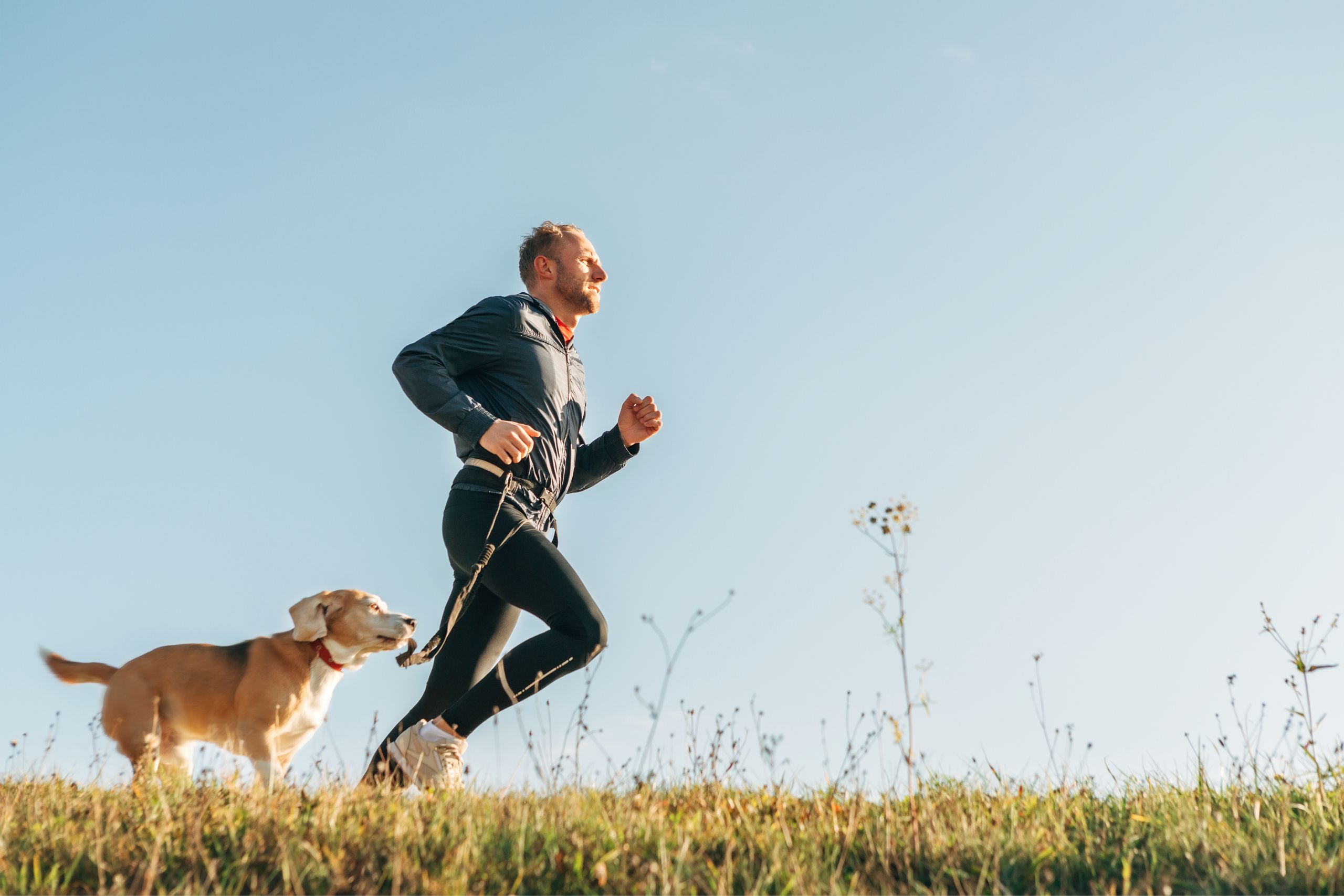 A man in fitness clothing, jogging outside with his dog against a beautiful clear-sky background